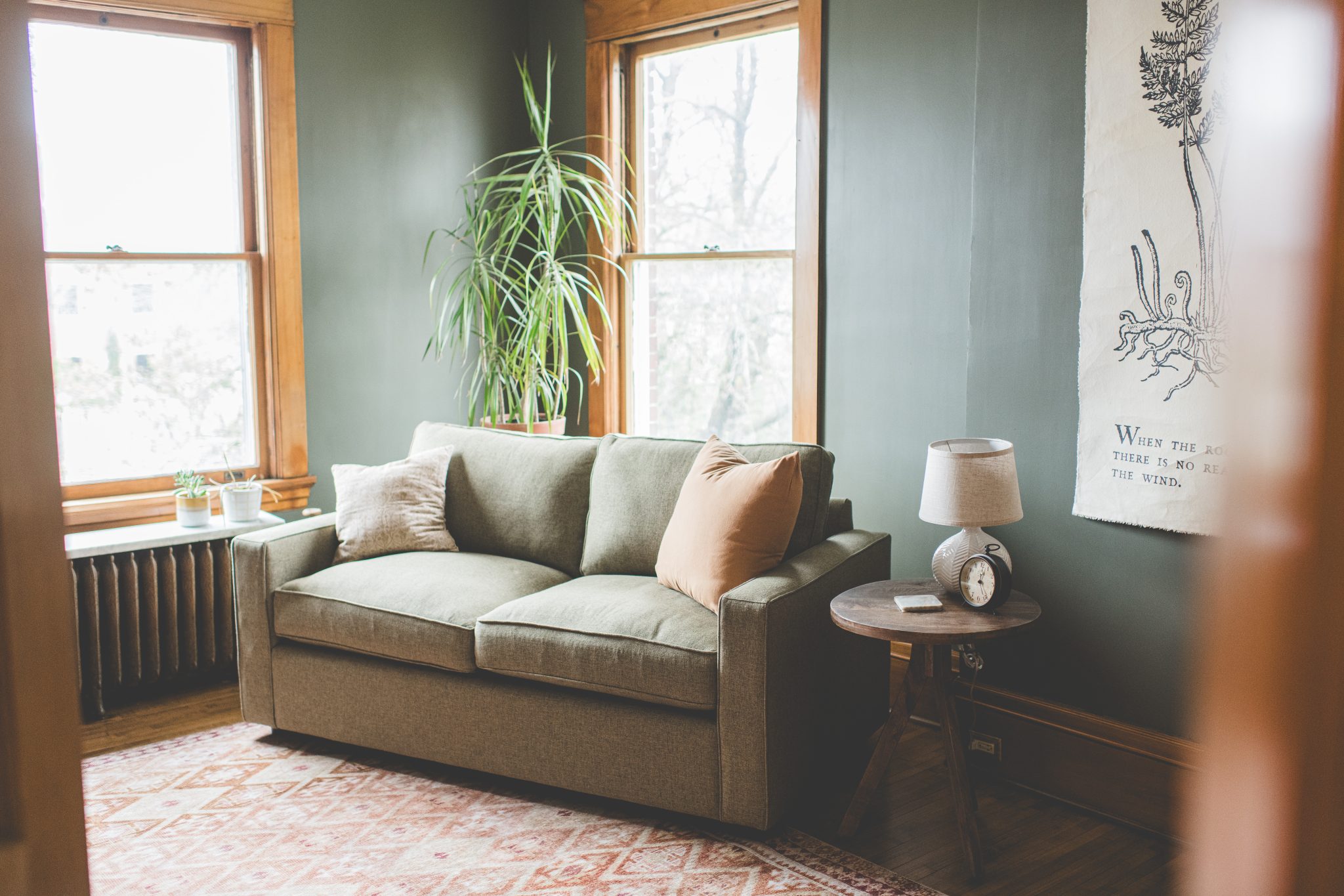 Wild Tree Wellness | Mental health Services centered around you