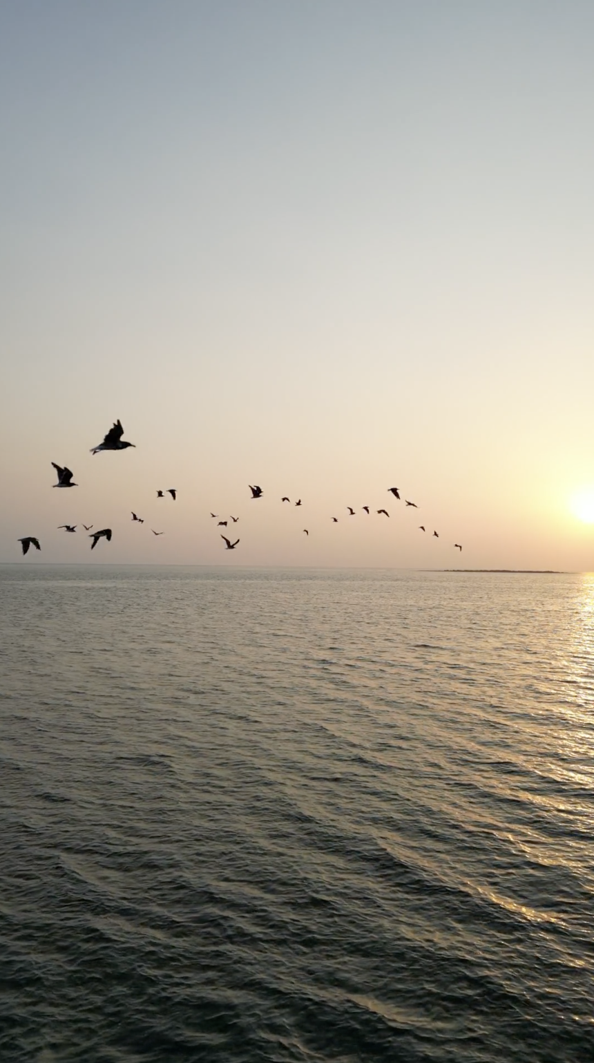 Containment Exercise Wild Tree Wellness